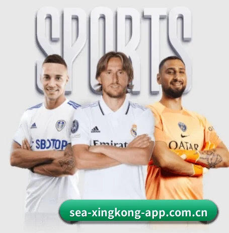 星空体育在线 APP